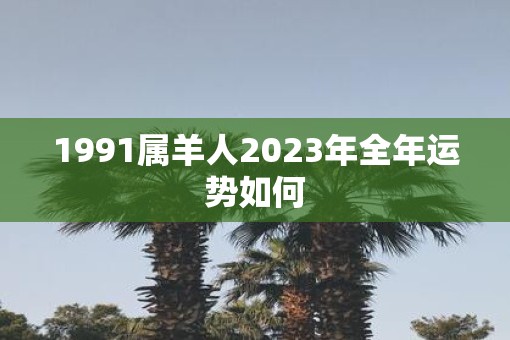 1991属羊人2023年全年运势如何